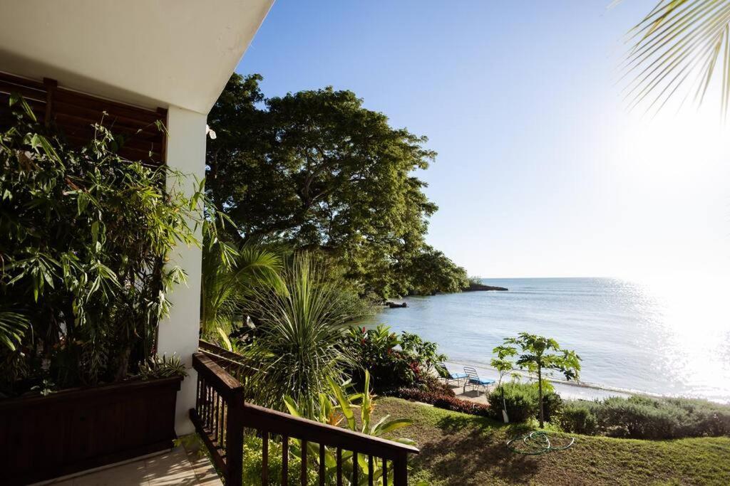 Ivy'S Cove Beach Side Condo - Luxury Villa Whitehouse Bagian luar foto