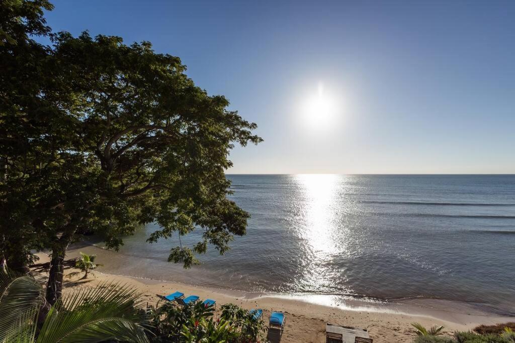 Ivy'S Cove Beach Side Condo - Luxury Villa Whitehouse Bagian luar foto